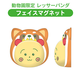 フェイスマグネット（動物園限定　レッサーパンダ）