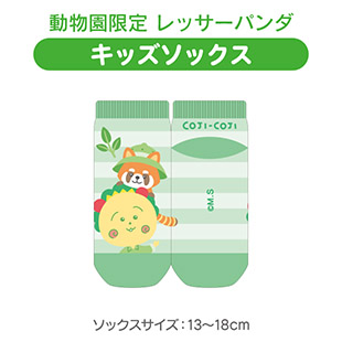 キッズソックス（動物園限定　レッサーパンダ）