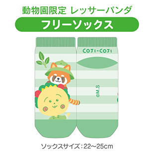 フリーソックス（動物園限定　レッサーパンダ）