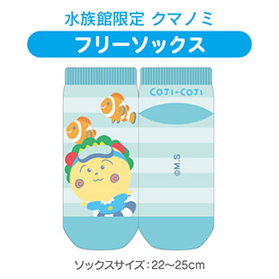 フリーソックス（水族館限定　クマノミ）